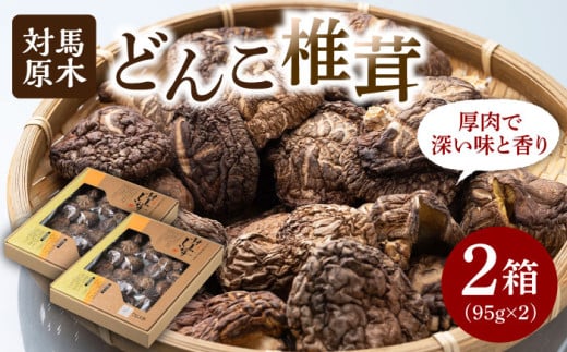 【最速発送】 対馬 原木 どんこ椎茸 95g×2箱《対馬市》【うえはら株式会社】 対馬産 肉厚 しいたけ 乾燥 きのこ 贈り物  スピード発送 最短発送 [WAI014]
