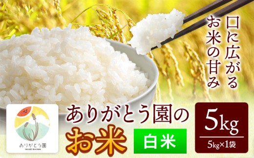 令和7年産 米 岡山県産 ありがとう園のお米 白米 5kg ありがとう園《30日以内に出荷予定(土日祝除く)》岡山県 矢掛町 米 コメ  st-p
