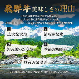 飛騨牛 牛肉 焼肉 ロース A5 飛騨牛【500g×2 計1kg】
