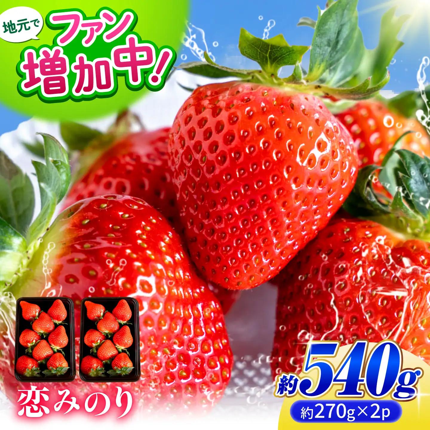 【先行予約】 いちご 恋みのり 約540g(約270g/6~11粒×2p)産地直送こば農園 熊本苺イチゴフルーツZFO001