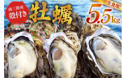 【期間限定発送】牡蠣 南三陸志津川産 殻付き牡蠣 5.5kg 30個前後 [南三陸牡蠣倶楽部 宮城県 南三陸町 30ao0002] カキ かき 生牡蠣 魚貝類 生牡蠣 貝 海鮮 魚介類 オイスター カキフライ カキ鍋 アヒージョ 魚介 期間限定 冷蔵 新鮮 濃厚