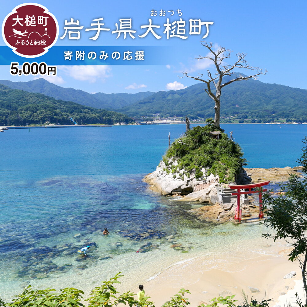 【ふるさと納税】≪返礼品なし≫ 岩手県 大槌町 5,000円