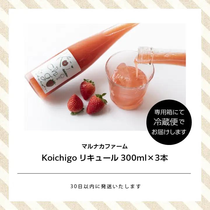 リキュール Koichigoリキュール 300ml×3本セット【まるなかファーム株式会社】