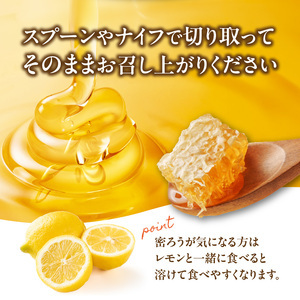  国産 極巣みつ 310ｇ 183-005