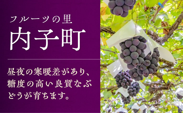 内子夢わいん 赤ワイン (山ぶどう) 約720ml 2本 / ワイン 山ぶどうワイン わいん wine お酒 酒 洋酒 愛媛県 愛媛 内子町 国産ワイン 日本ワイン 果実酒 送料無料 人気 家飲み 宅