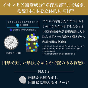 【美容】TSUBAKI プレミアムEX ダメージケア&リペア つめかえ用 300ml 4個 美容 シャンプー