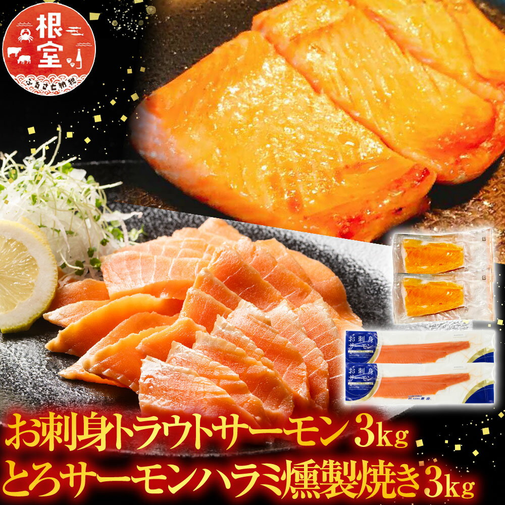 【ふるさと納税】 お刺身トラウトサーモン 3kg＆とろサーモンハラミ燻製焼き 3kg 鮭 さけ サケ しゃけ シャケ 魚 さかな サカナ お取り寄せ グルメ 海鮮 燻製 スモーク 刺身 北海道 根室市 ふるさと納税 D-09027