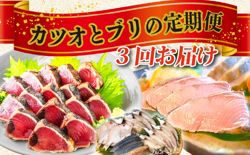 3回定期便 ブリのたたき 藁焼き 鰹のたたき 干物 初鰹 戻り鰹 天然 鰤 わら焼き かつおのたたき 鰤のたたき ぶり カツオ カツオのたたき おまかせ 定期便 3回 魚 新鮮 海鮮 魚介類 魚貝 刺身 刺し身 お刺身 さしみ ひもの 焼き魚 おかず 惣菜 おつまみ 簡単調理 ふるさと納税かつお ふるさと納税ぶり ふるさと納税定期便 高知 黒潮町［(H)1226-02］