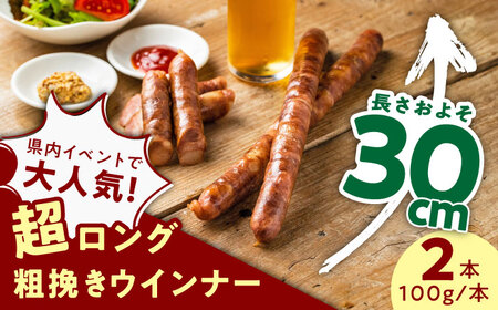 【長さ20-30cm超ロング！超粗挽きウインナー】GASBO(ガスボー)計2本(100g×2本入り×1P) / 佐賀県 / 山代ガス株式会社 旬菜舎さと山[41AABM033]