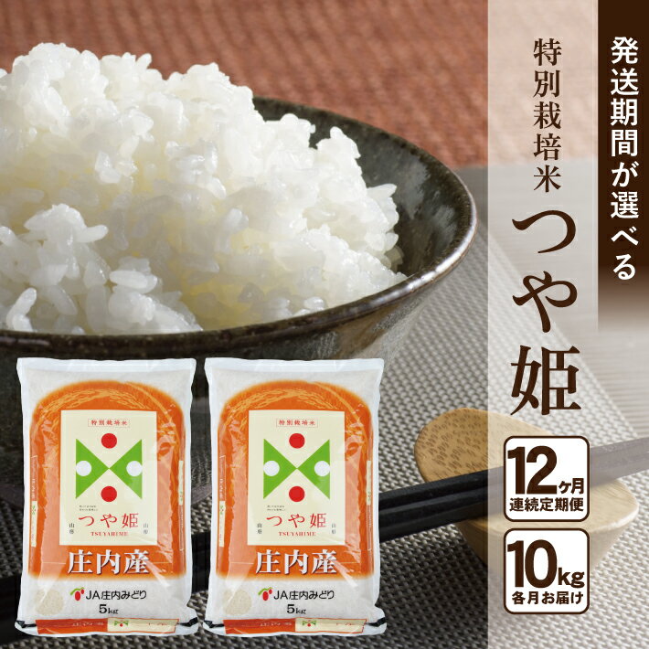 【ふるさと納税】≪12ヶ月定期便≫ 特別栽培米 つや姫 10kg×12ヶ月 計120kg 山形県庄内産 ご希望期間の毎月下旬頃にお届け 東北 酒田市 庄内地方 庄内平野 お米 精米 白米 ブランド米 庄内米 ごはん ご飯 農協 JA 産地直送