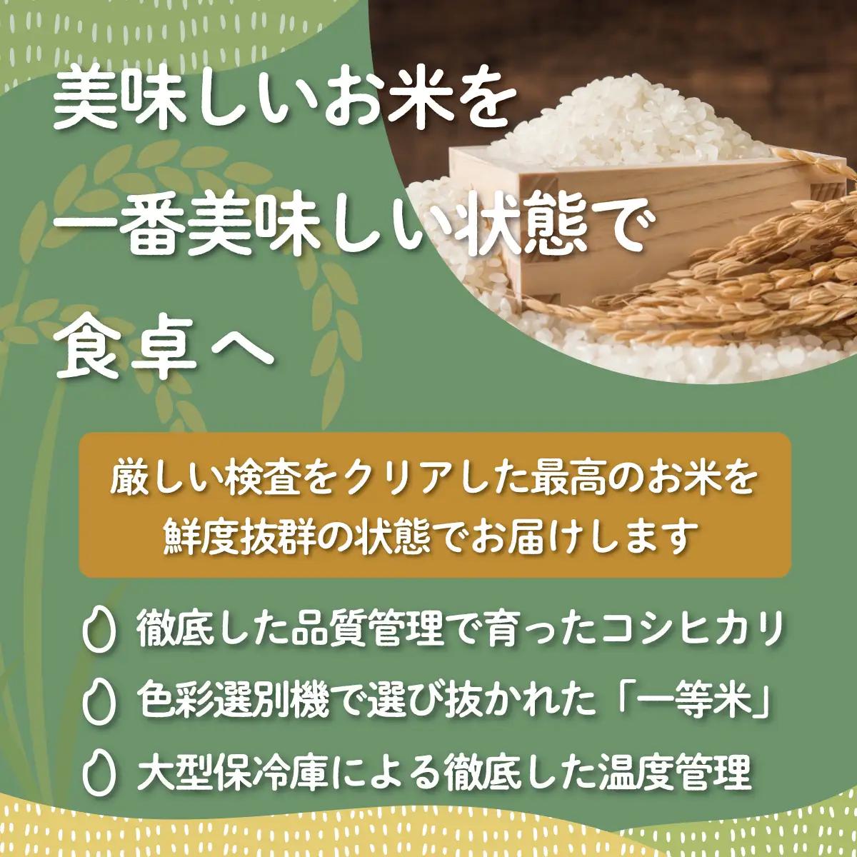 【令和7年産】【福島会津産】雪の恵み米こしひかり5kg×1回 KBAJ005