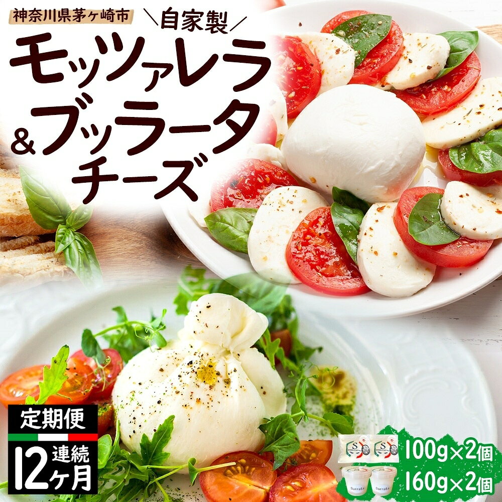 【ふるさと納税】【12ヶ月定期便】自家製 チーズ 詰め合わせ モッツァレラチーズ 100g ブッラータチーズ160g 各2個 出来立て 神奈川県産 幻のチーズ モッツァレラ ブッラータ 手作り Osteria e Bottega S 神奈川県 湘南 茅ケ崎 フレッシュチーズ おつまみ ピザ