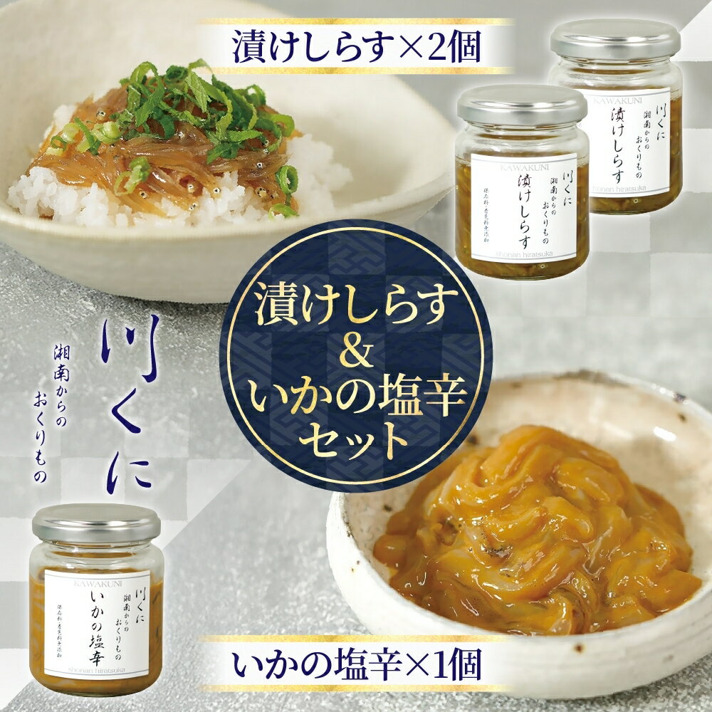 【ふるさと納税】漬けしらす いかの塩辛 3本セット 漬けしらす ×2個 いかの塩辛 ×1個 生シラス 取れたて 冷凍 特製たれ しょう油 いか 烏賊 一夜干し 釜揚げ お酒 つまみ ご飯 株式会社 川国 神奈川県 平塚市