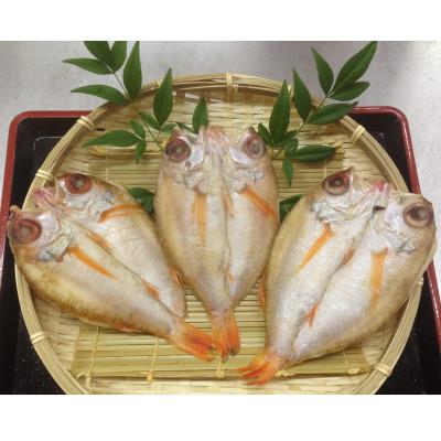 ふるさと納税 加賀市 高級魚のどぐろ一夜干し