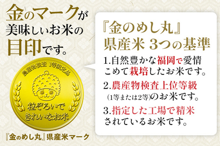 金のめし丸夢つくし精米10kg 夢つくし 森光商店 老舗 福岡 お米 米 ごはん ご飯 お弁当 おにぎり 金のめし丸県産米 福岡ブランド米 めし丸 志免 志免町 福岡県