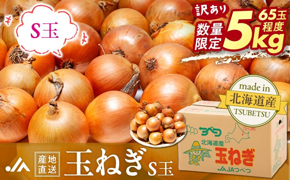 
            【先行受付】【訳あり】R8年産 玉ねぎ S玉 5kg | 北海道津別町
          