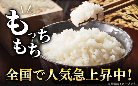 【時間が経っても美味しい】令和5年産 さがびより 白米 計4kg（2kg×2袋） 佐賀県/株式会社森光商店[41ACBW005]