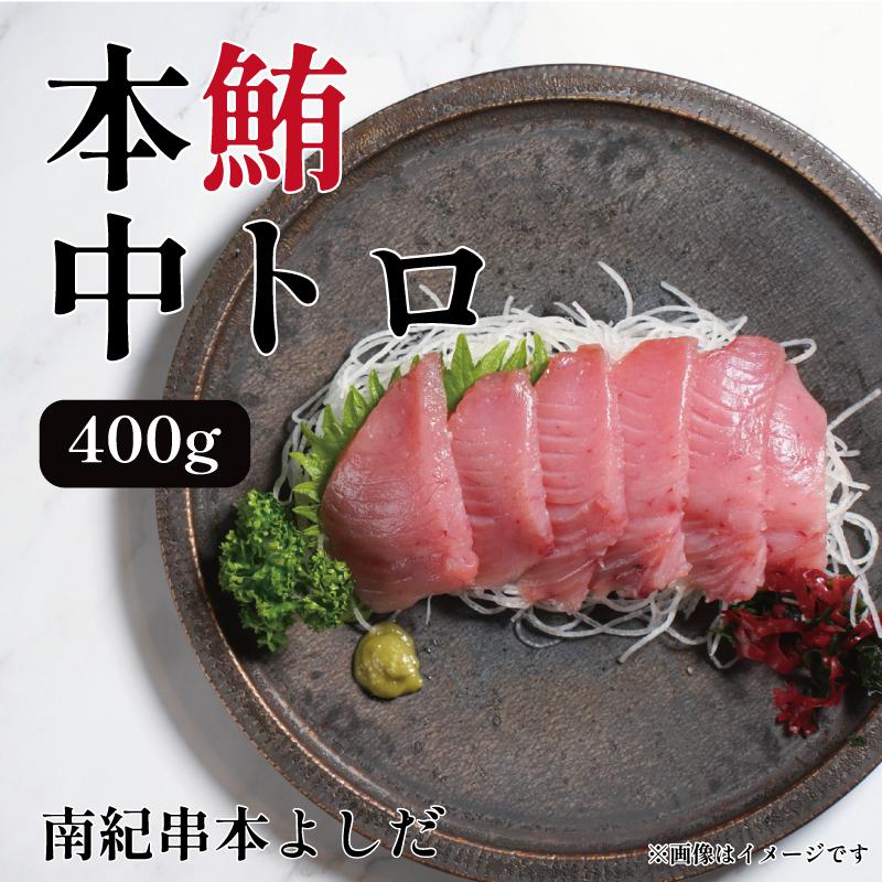 【ふるさと納税】南紀串本よしだ 本鮪 中トロ サク400g | まぐろ マグロ 鮪 魚 お魚 さかな 食品 人気 おすすめ 送料無料 年末年始 お祝い ギフト
