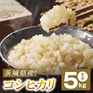 コシヒカリ 玄米 5kg【茨城県共通返礼品：高萩市】|お米 米 こしひかり 茨城県 取手市（CB002）