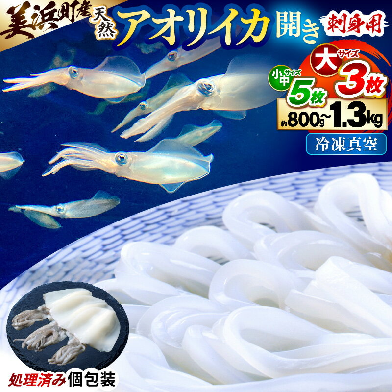 【ふるさと納税】【先行予約】 新鮮で便利！旬の 天然 アオリイカ 刺身用 開き【選べる内容量】【2026年10月下旬以降順次発送予定】 【配送不可地域：離島】あおりいか アオリイカ 刺身 お造り 冷凍 いか イカ 海鮮 魚介 冷凍パック 天然いか