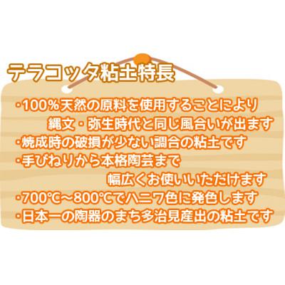 ふるさと納税 多治見市 美濃粘土 の【テラコッタ粘土約20kg(約1kg×20個)】 |  | 03