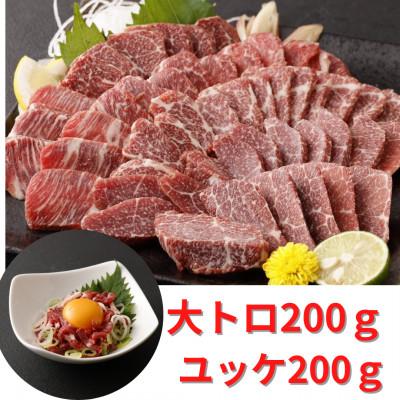 ふるさと納税 高森町 熊本直送　馬刺し　大トロ200g+ユッケ200g　合計400g(高森町)