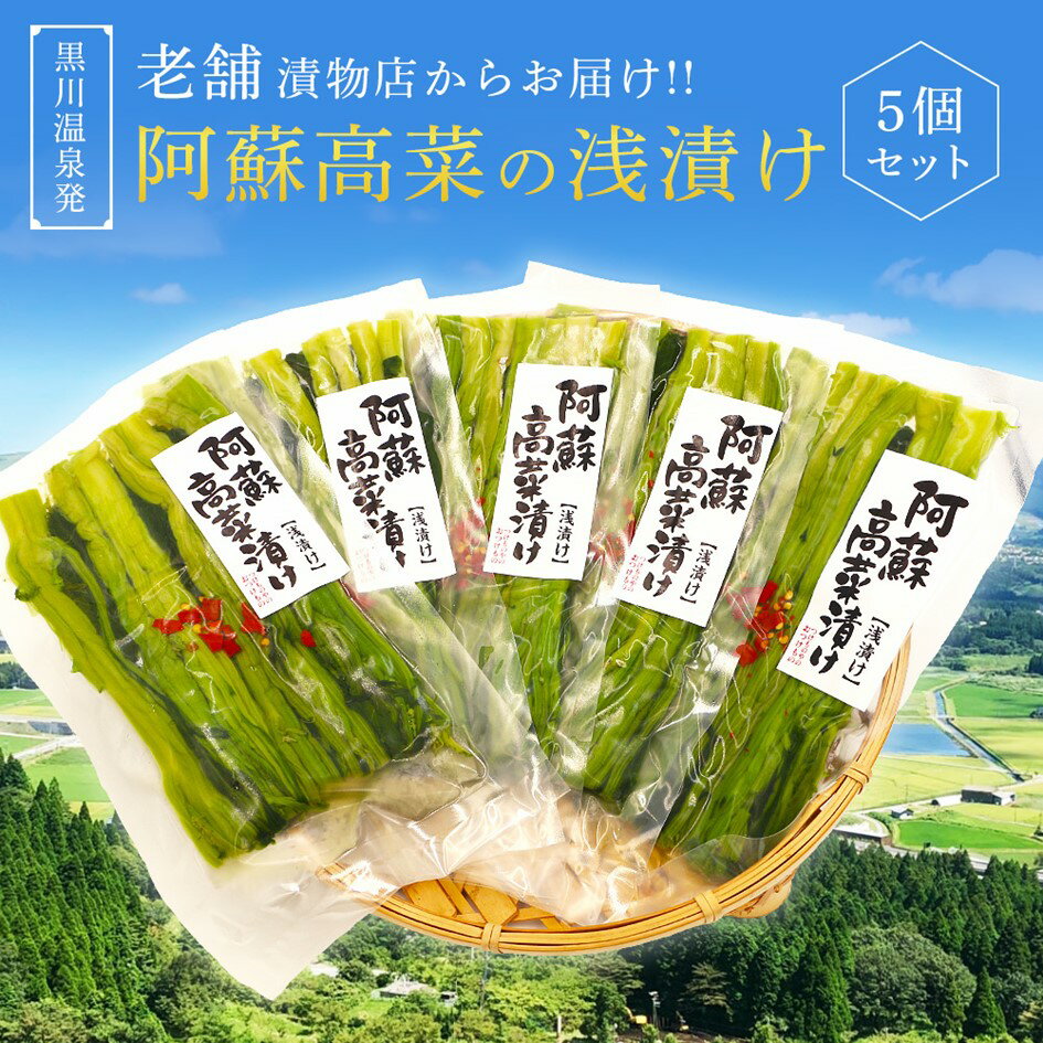 【ふるさと納税】 阿蘇高菜 浅漬け 160g 5個 高菜 漬物 高菜漬け 高菜漬物 お取り寄せ ギフト 贈答用 黒川温泉 平野商店 九州 熊本 阿蘇 南小国町 送料無料