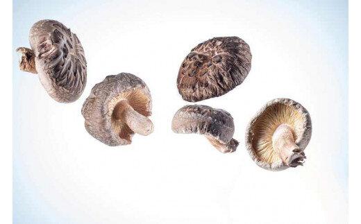 777.とっとり北栄町産 原木乾しいたけ3袋セット　※着日指定不可　※2025年4月上旬～9月下旬頃に順次発送予定