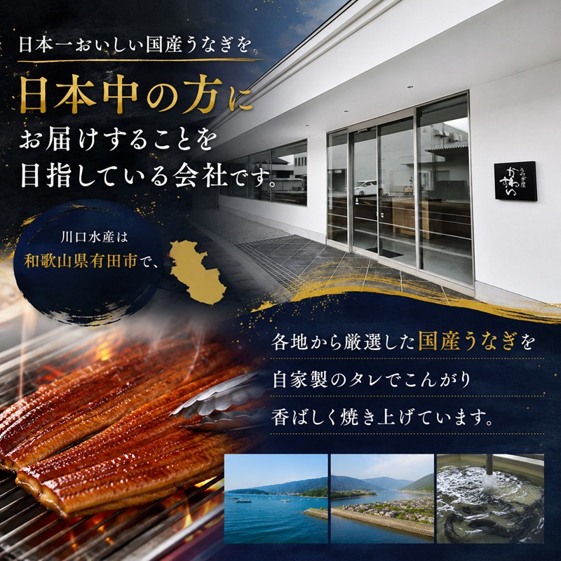 国産うなぎ  蒲焼き 大サイズ 4尾セット(合計600g) タレ付き 国産 うなぎ ウナギ 鰻 蒲焼 かば焼き 4尾 セット 惣菜 冷凍