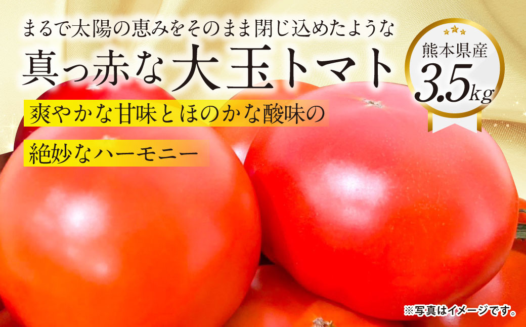 
                  『まるで太陽の恵みをそのまま閉じ込めたような真っ赤な大玉トマト』約3.5kg 1箱 （熊本県産） 【2027年1月下旬～5月下旬まで発送予定】 野菜 やさい トマト とまと 大玉トマト
                