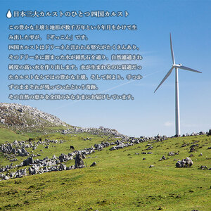 「四国カルスト天然水ぞっこん」ガロンボトル12L×24本、サーバーセット（毎月2本1年間の定期便）