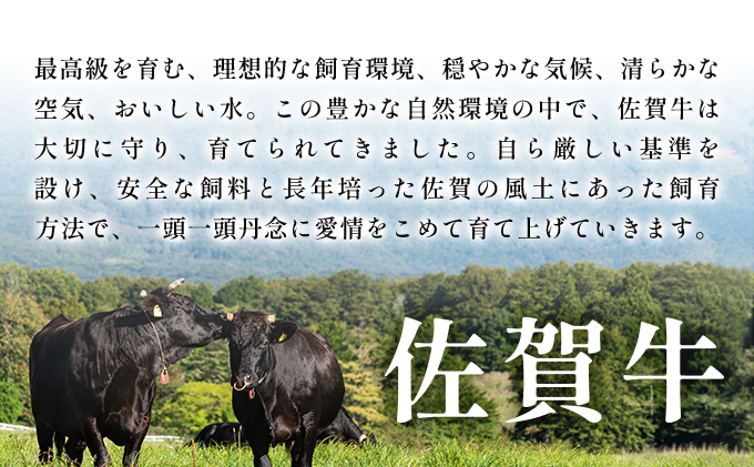 艶さし！【A4～A5】佐賀牛焼肉用　500g