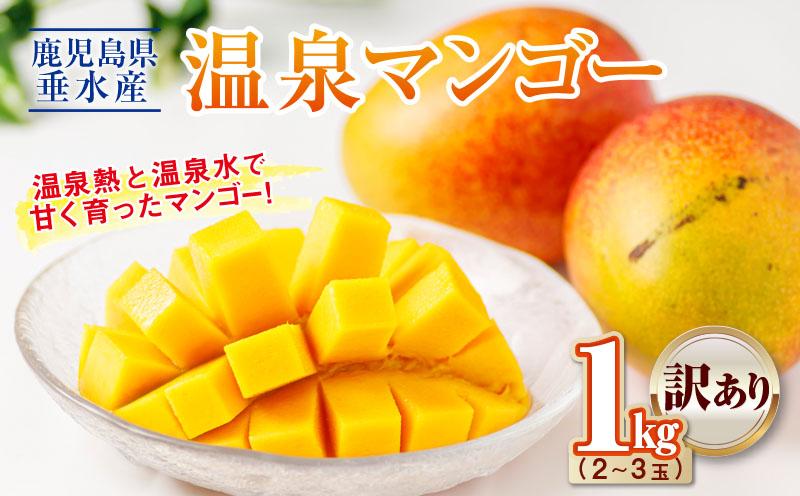 A1-22552／【訳あり品】鹿児島産 温泉マンゴー 1kg 期間限定 【2026年夏発送】