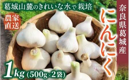 奈良県葛城産 にんにく 約1kg(500g×2袋)  【2026年5月上旬～7月下旬順次発送】 葛城市【smlk064】
