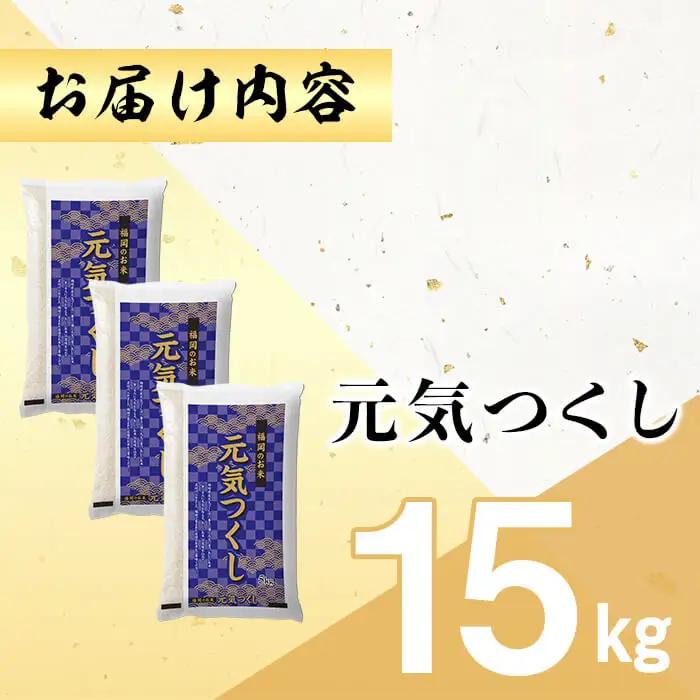＜数量限定＞元気つくし 精白米 (15kg)お米 米 精白米 国産 福岡県産 ブランド米 15kg 数量限定 常温＜北海道・沖縄・離島配送不可＞【ksg1782】
