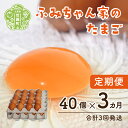 【ふるさと納税】【定期便3カ月】ふみちゃん家のたまご 40個入《合計3回発送》広島県 卵 タマゴ 玉子 新鮮 世羅 生みたて卵 卵かけごはん だし巻き スイーツ TKG A027-05