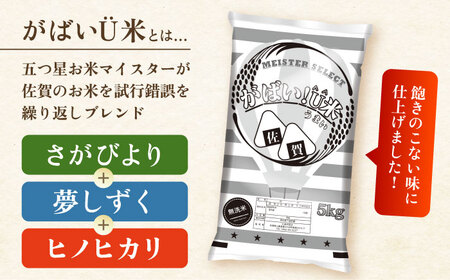 がばいU米（うまい）【無洗米】 5kg 【大塚米穀店】[HBL118] 米 早期発送