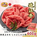 【ふるさと納税】【A5ランク近江牛】しゃぶしゃぶ　赤身上モモ（600g）4~6人前