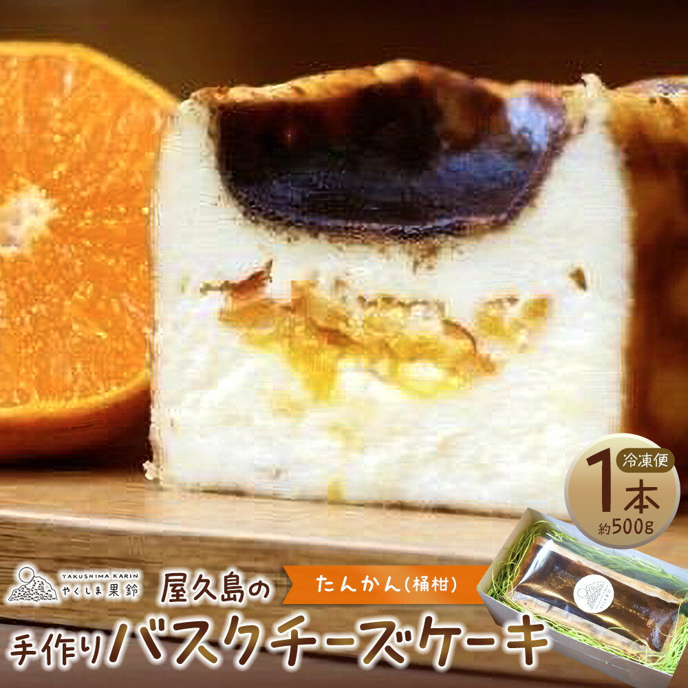 【ふるさと納税】屋久島の手作りバスクチーズケーキ （たんかん） | チーズ ケーキ スイーツ デザート お菓子 洋菓子 おかし 果物 くだもの フルーツ 柑橘 レモン お取り寄せ グルメ 人気 おすすめ 鹿児島県