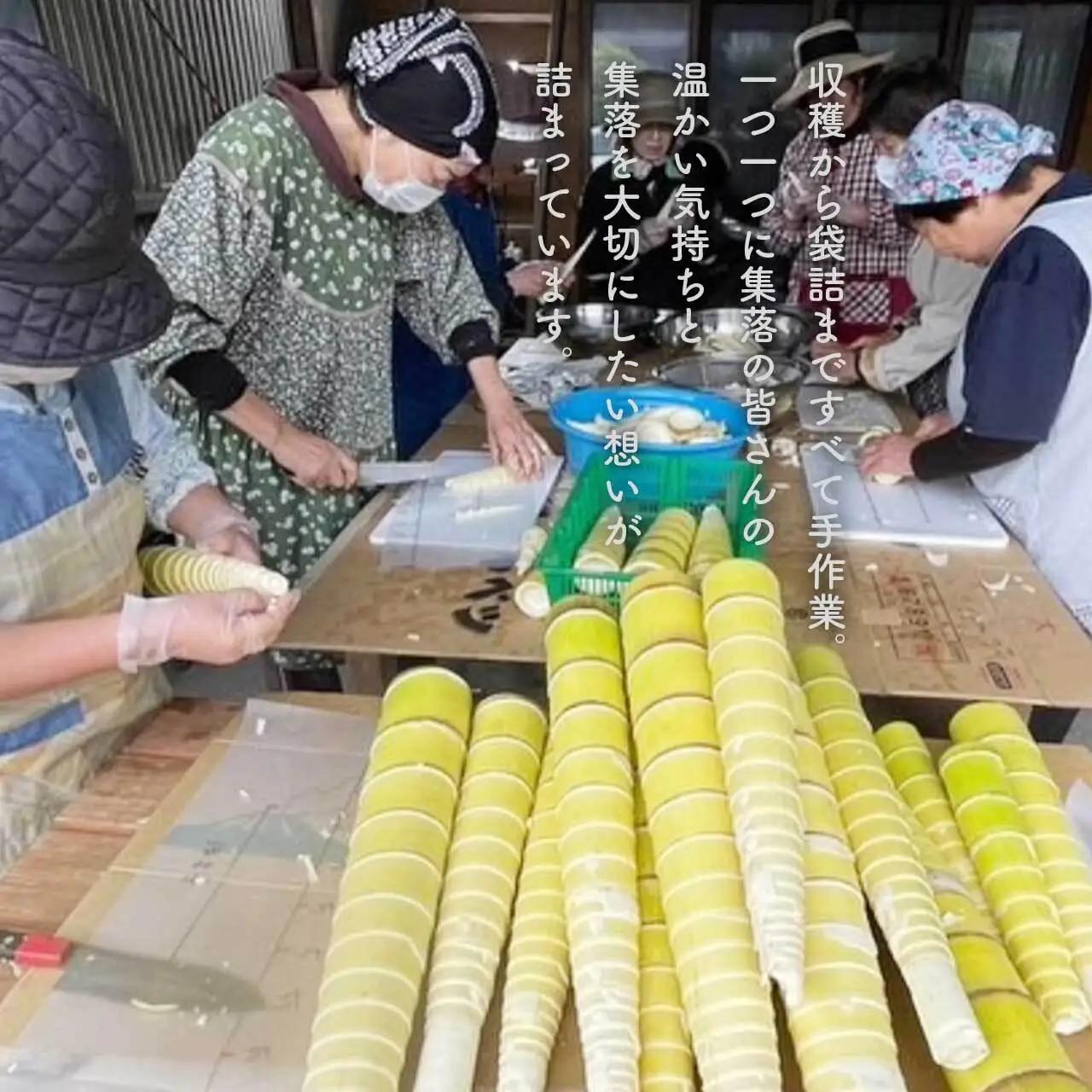 鹿児島県大崎町産味付けメンマ「チクリンからの贈りもの」