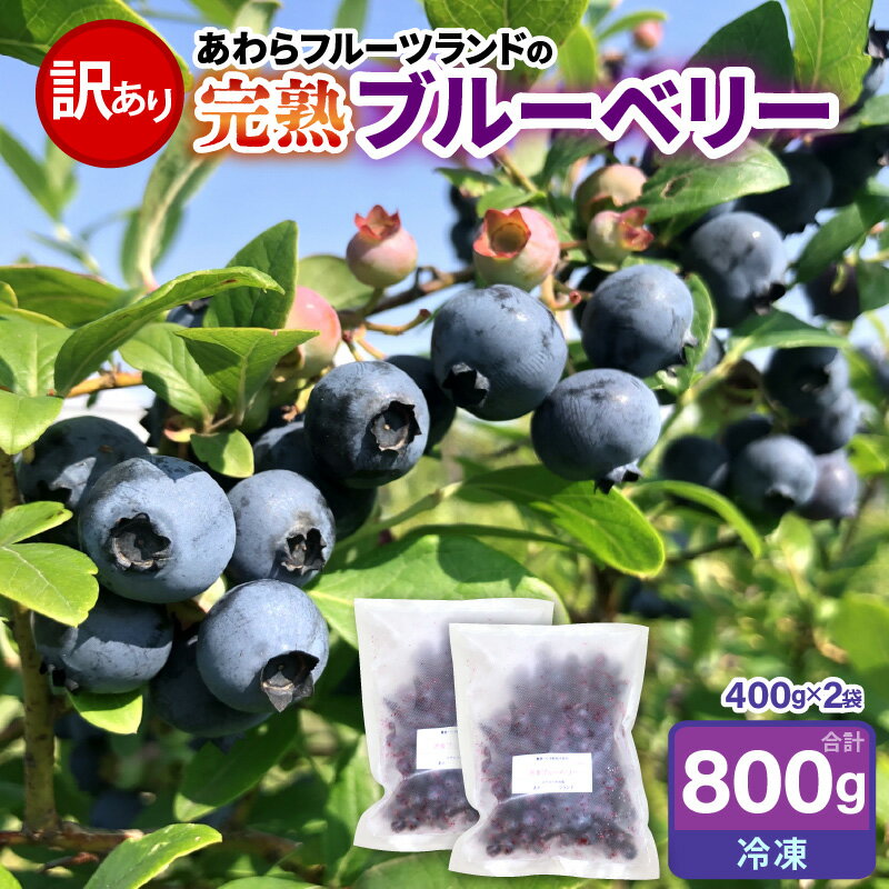 【ふるさと納税】【先行予約】【訳あり】【冷凍】あわらフルーツランドのブルーベリー たっぷり 800g 便利な400g×2袋 【完熟】 / フルーツ 果物 くだもの 冷凍 小分け 完熟 ご当地 国産 おすすめ ※2026年8月上旬より順次発送