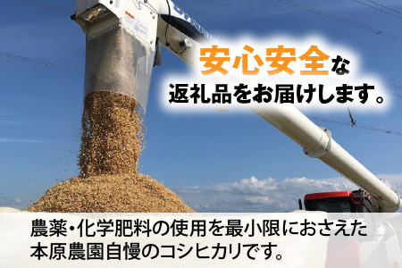 【令和5年産】【農家直送定期便 6ヶ月コース】【白米】 本原農園のまごころコメた 福井県産 コシヒカリ 5kg × 6回 計30kg [C-8961_01]