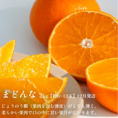 ふるさと納税 八幡浜市 【発送月固定定期便】愛媛の人気高級フルーツ まどんな・甘平・せとか【H70-42】全3回 |  | 01