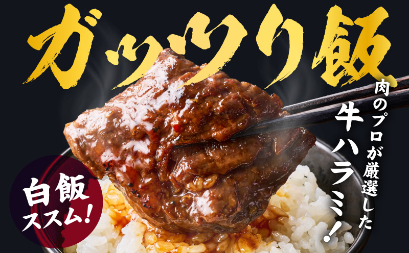 ガツめし牛ハラミ 1.2kg 追いダレ漬け【焼肉 600g×2P はらみ ハラミ 牛肉 訳あり サイズ不揃い】 G4018