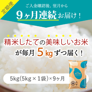 【定期便 9ヶ月】 米 青天の霹靂 5㎏ 青森県産 【特A 一等米】（精米）