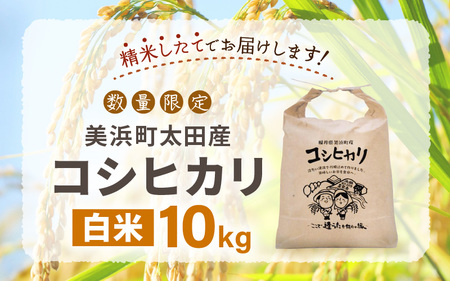 令和6年産 美浜町太田産「コシヒカリ」 白米 10kg [m70-b001]