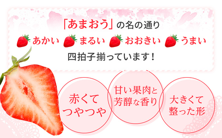 【アフター保証】福岡県産 JAグループ あまおういちご 1620g（約270g×6パック）【2024年3月中旬以降発送開始】 AG009-1