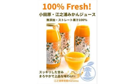 定期便（2カ月ごと全６回） 小田原産江之浦みかんジュース３種のみくらべ３０本セット うんしゅう・なつみ・バレンシアオレンジ１００％ストレートジュース１８０ml各１０本合計３０本【 神奈川県 小田原市 