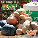 【ふるさと納税】北海道富良野　野菜セット 10kg詰め【1466265】