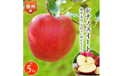 2025年!信州のりんご＜シナノスイート＞約5kg【1041420】